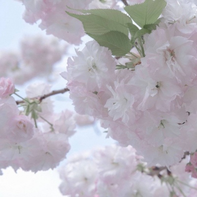 铁岭FurryQQ群介绍